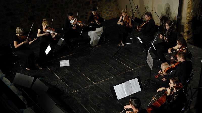 karlovac chamber orchestra